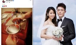 Lâm Tâm Như và Hoắc Kiến Hoa kỷ niệm 7 năm ngày cưới bằng bữa tiệc đầy lãng mạn