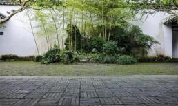 “Mở cửa có 2 thứ này, con cháu mãi phú quý”, không ngờ 2 thứ này lại mang ý nghĩa cát tường, nhà bạn đã có chưa?