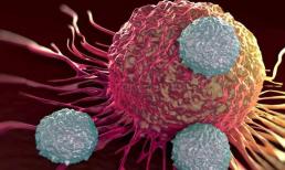 Các tế bào ung thư thích 'đường' hay 'đạm'? Kết quả nghiên cứu được công bố, kiến ​​thức sớm và lợi ích sớm