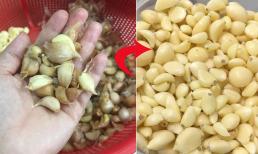Tỏi ta rất thơm, nấu món gì cũng ngon nhưng nhiều người ngại bóc vỏ vì nhỏ xíu, có một mẹo giúp bà nội trợ nhàn tênh 