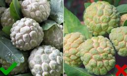 Na đang vào mùa, mẹo chọn na ngon ngọt, nhiều cùi, ít hạt, không ngâm hóa chất