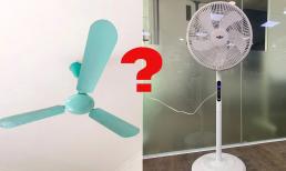 Sử dụng quạt trần hay quạt cây tốn điện hơn? Chuyên gia đưa lời khuyên giúp bạn lựa chọn thiết bị tiết kiệm nhất 
