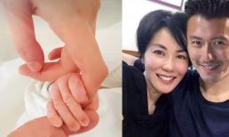 Vương Phi sinh con cho Tạ Đình Phong? Sao nam đích thân đăng ảnh bàn tay em bé mới sinh thông báo tin vui họ Tạ có thêm thành viên