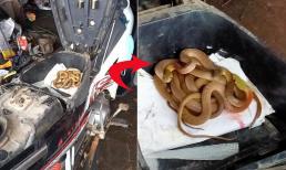 Chủ tiệm sửa xe quăng cả đồ nghề bỏ chạy ngay khi nhìn vào cốp xe của khách, thực hư thế nào?