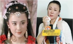 Phó Nghệ Vỹ: nàng 'Đát Kỷ đẹp nhất' bị mất trắng sự nghiệp, lâm vào cảnh tù tội vì ma túy 