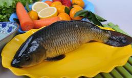 Cùng là cá, sự chênh lệch giữa những con cá 'bụng to' và 'bụng nhỏ' khá lớn. hãy học cách mua lại kẻo bị thiệt 