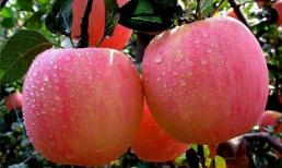 Khi mua táo, có một sự khác biệt lớn giữa quả 'tròn vuông' và quả 'lệch'. Nhìn vào 3 nơi và chọn những quả táo ngon