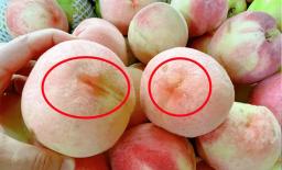 Khi mua đào, hãy chọn những quả đào 'đực', ngọt, mọng nước và ngon! Dạy bạn cách ngâm đào 