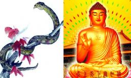 Người tuổi Rắn: Sinh tháng nào 'khổ' nhất và 'sướng' nhất! 