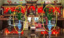 Tại sao người giàu thích đặt cây trúc phát tài trên bàn thờ? Biết lý do, ai cũng làm theo