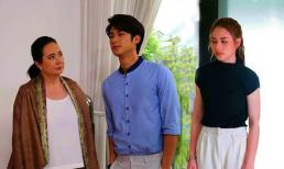 Tai họa của một gia đình bắt đầu từ việc lấy phải cô con dâu như này