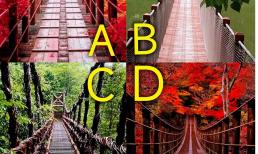 Trắc nghiệm tâm lý: Chọn con đường bằng phẳng và trắc nghiệm cuộc đời bạn diễn ra như thế nào