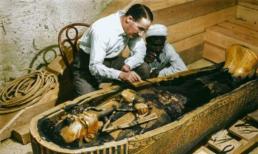 Phát hiện bông hoa trong kim tự tháp, 4.000 năm vẫn ngon lành, chuyên gia kinh ngạc khi biết nguyên nhân