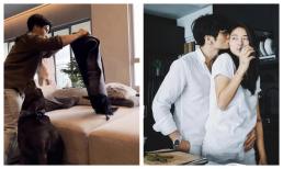 Ngô Thanh Vân tiết lộ sự thay đổi lớn của chồng kém tuổi, dân tình choáng váng vì quyền uy nóc nhà