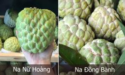 Na có đến hàng chục loại, vậy loại na nào ngon nhất, đắt nhất? Cách để chọn được na ngon