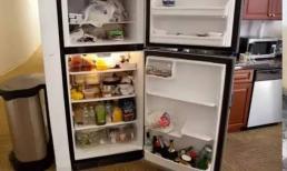 Tại sao không nên để thức ăn nóng trực tiếp vào tủ lạnh?