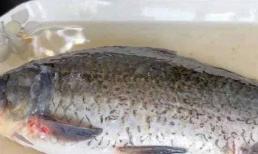 Rã đông cá, không bao giờ ngâm trong nước, chủ sạp dạy tôi một mẹo, rã đông trong 5 phút, nó tươi như cá sống! 