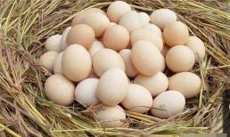 Chỉ cần 4 mẹo này bạn sẽ biết cách chọn được những quả trứng tươi ngon nhất trong một đống trứng