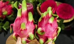 Khi mua thanh long nên chọn “dài” hay “tròn”? Hương vị khác nhau nhiều, học cách không chọn nhầm