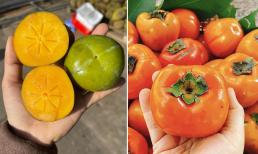 Quả hồng có hàng chục loại, bạn có biết loại nào là ngon nhất?