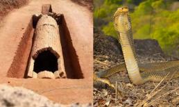 Ngôi mộ nghìn năm được canh giữ bởi một con rắn lớn? Cho đến nay vẫn chưa có ai dám tiếp cận và các nhà khảo cổ đã mạo hiểm khám phá sự thật