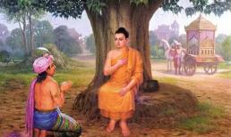 Có người cả đời vất vả lam lũ mà vẫn nghèo, có người 'làm chơi mà ăn thật', tại sao?