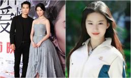 Lưu Diệc Phi bị Song Seung Hun 'đá' vì từng phá thai ở tuổi 15 khiến ai cũng sững sờ?