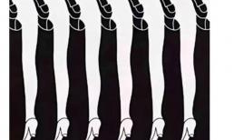 Trắc nghiệm tâm lý: bạn nhìn thấy gì đầu tiên? Bạn có thể giàu có và quyền lực trong nửa sau của cuộc đời mình không?