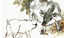 Vào tháng 8 âm lịch, ba con giáp sẽ có thành tựu to lớn, dễ dàng thăng tiến, tăng lương, kinh tế tăng trưởng rất nhiều