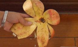 Hôm nay tôi mới biết vỏ quả lựu là “báu vật”, giữ ở nhà vừa thiết thực vừa tiết kiệm tiền. Hãy chia sẻ ngay cho gia đình bạn nhé