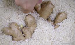 5 mẹo bảo quản gừng không cần cho vào tủ lạnh, gừng sẽ tươi được nửa năm mà không bị héo hay mọc mầm