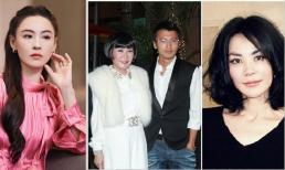 Mẹ của Tạ Đình Phong không thích Trương Bá Chi nhưng rất quý Vương Phi, 'Thiên hậu làng nhạc' cần phải cảm ơn Trương Bá Chi vì điều này 