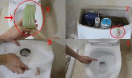 Tất cũ đừng vứt đi, tận dụng bỏ vào bồn cầu, lợi ích bất ngờ, không biết quá phí