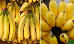 Chuối tây và chuối tiêu loại nào tốt hơn? Nên ăn chuối xanh hay chuối chín và công dụng làm đẹp từ loại quả rẻ bèo này