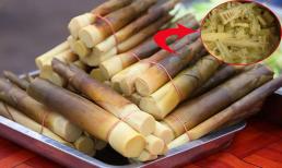 Măng tươi đang mùa, rất ngon nhưng khi ăn làm sao để loại bỏ hoàn toàn độc tố?