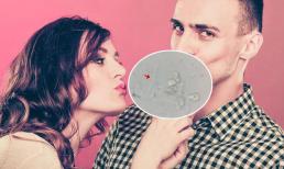 Sau khi phóng đại nước bọt 2000 lần, xem xong tôi thấy ớn lạnh, tại sao các cặp đôi hôn nhau không cảm thấy ghê tởm?