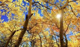 Ba dấu hiệu cho thấy một người sẽ giàu có ở tuổi trung niên