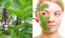 Một loại rau gia vị không những tốt cho phong thủy còn cải thiện nhan sắc, là mặt nạ dưỡng da tuyệt vời cho phái đẹp