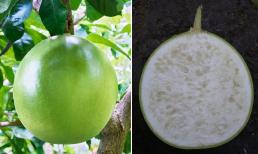 Loại quả nhìn giống bưởi, bổ ra không có múi, giá 100 nghìn đồng/quả, được tạo dáng hồ lô giá cao gấp 7 lần