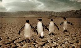 Trái đất sẽ ra sao sau khi con người biến mất? Trái đất sẽ ra sao sau khi con người biến mất?