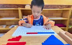 Dinh dưỡng nào tốt nhất cho sự phát triển trí não của trẻ, thứ nhất là vận động, thứ hai là bất ngờ