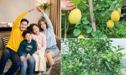 Vợ Mạnh Trường hé lộ ảnh mới của biệt thự trắng, dân tình xuýt xoa vì khoảng sân vườn xanh mướt