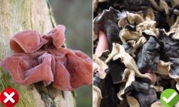 Tại sao mộc nhĩ phải phơi khô mới ăn mà không ăn lúc mộc nhĩ còn tươi?