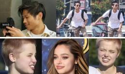Tại sao Pax Thiên và Shiloh lại là cậu ấm, cô chiêu được săn đón nhất trong gia đình Angelina Jolie?