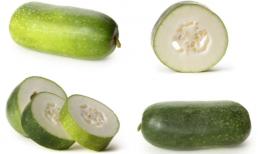 Mua bí đao thì nên chọn quả có vỏ xanh đậm hay xanh nhạt? Hương vị rất khác biệt, về sau đừng chọn sai 