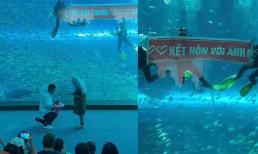 Màn cầu hôn độc lạ ở thủy cung 'gây sốt' cộng đồng mạng