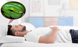 Nằm mơ thấy những điều này sẽ gặp quý nhân, tài lộc sắp đến, bạn hãy sửa soạn tâm hồn đẹp mà đón nhận