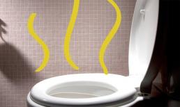 Gan của bạn có tốt hay không, bạn có thể biết chỉ bằng cách đi vệ sinh mà không cần khám sức khỏe hay tốn tiền kiểm tra!