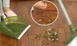 Nếu trong nhà không có máy hút bụi, bạn nhất định phải biết mẹo này để dọn sạch tóc rụng, lông chó, lông mèo