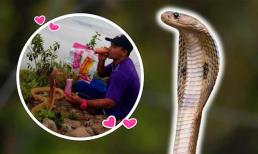 Thanh niên Thái Lan kết hôn với một con rắn hổ mang vì giống bạn gái cũ 